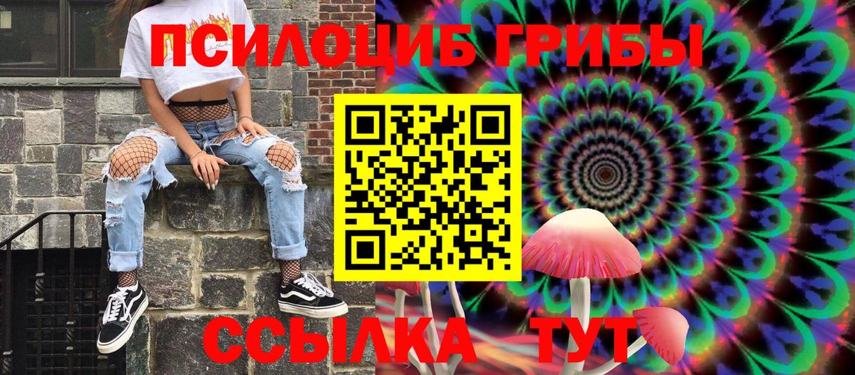 Псилоцибиновые грибы мицелий Унеча