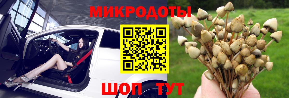 Унеча  Галлюциногенные грибы мухоморы  Вход с VPN 